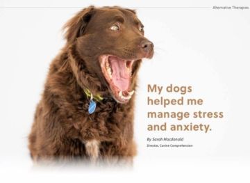 My dogs helped me manage stress and anxiety
