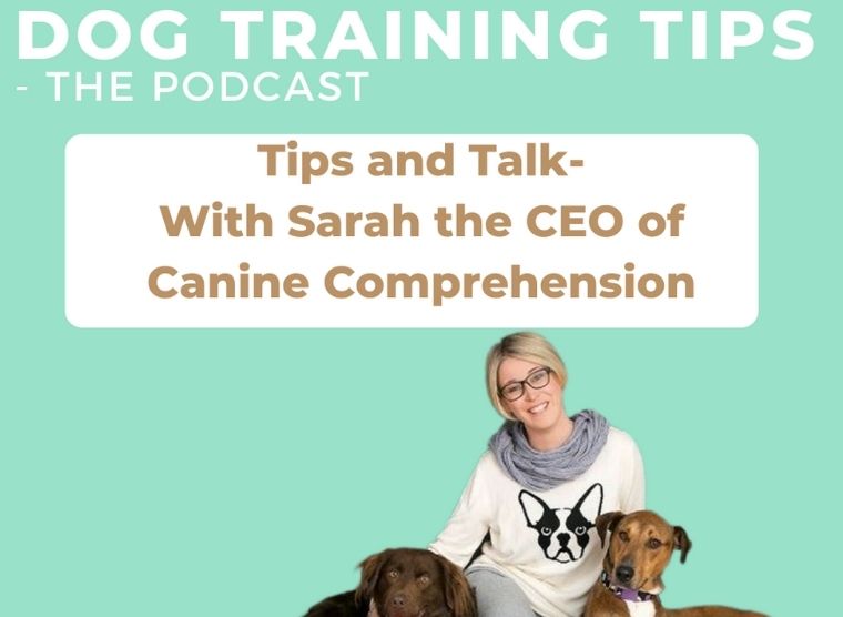 Tips & Talks - Dogmanship Training Podcast