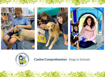 Dogs in schools - how can we manage it safely?