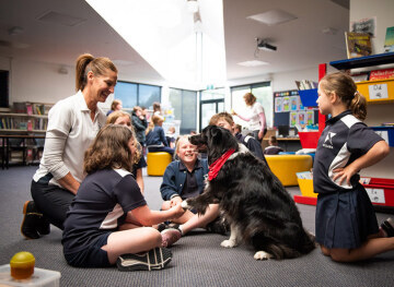 Last chance to book Canine Comprehension programs for term 2