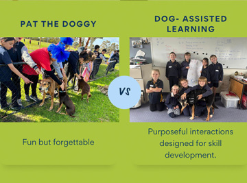 The Benefits of Limiting Class Sizes for Dog-Assisted Learning