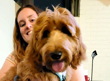Madeline's Journey: Empowering Youth with Ollie, the Therapy Dog