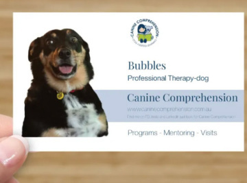 A Day in the Life of Bubbles -a Canine Comprehension Therapy Dog working with individual students.
