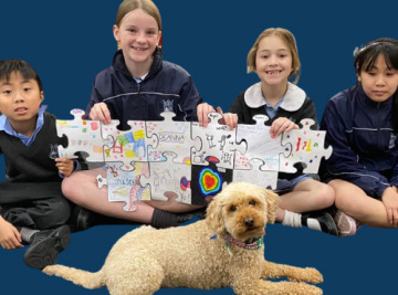 Building Trust: Activities that help Therapy Dogs support school connections