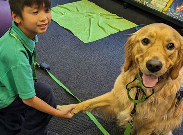Ensuring Program Excellence: The Role of Evaluation in Canine Comprehension's School Programs