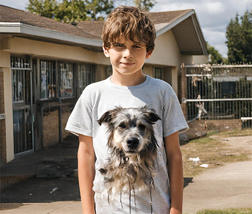 Meet Aiden: A Candidate for Our Dog Assisted Therapy Mentoring Program