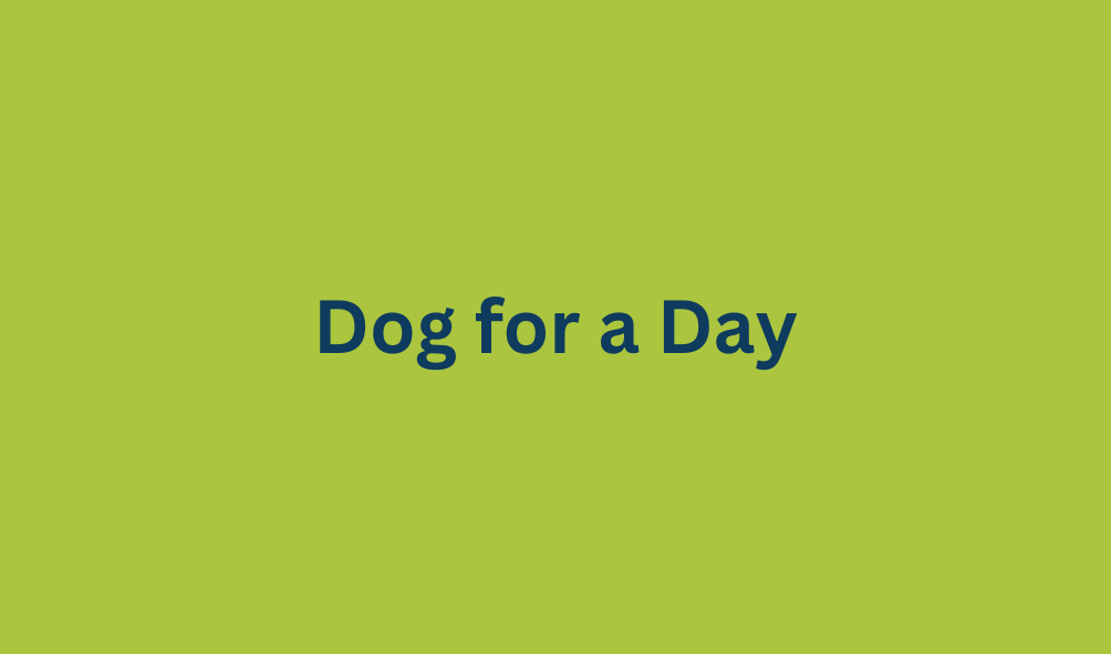 Dog for a Day