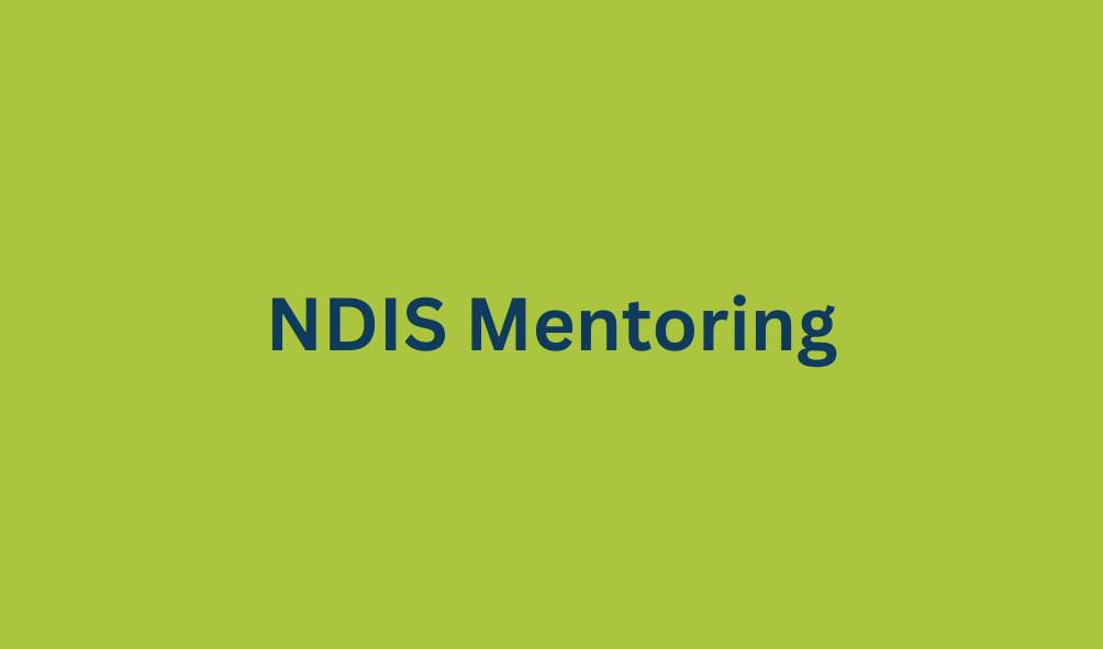 ndis mentoring